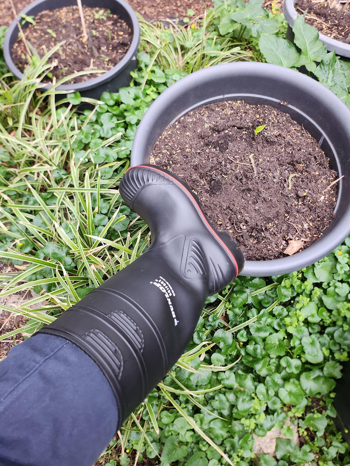 Gummistiefel suchen Kuhstall 1