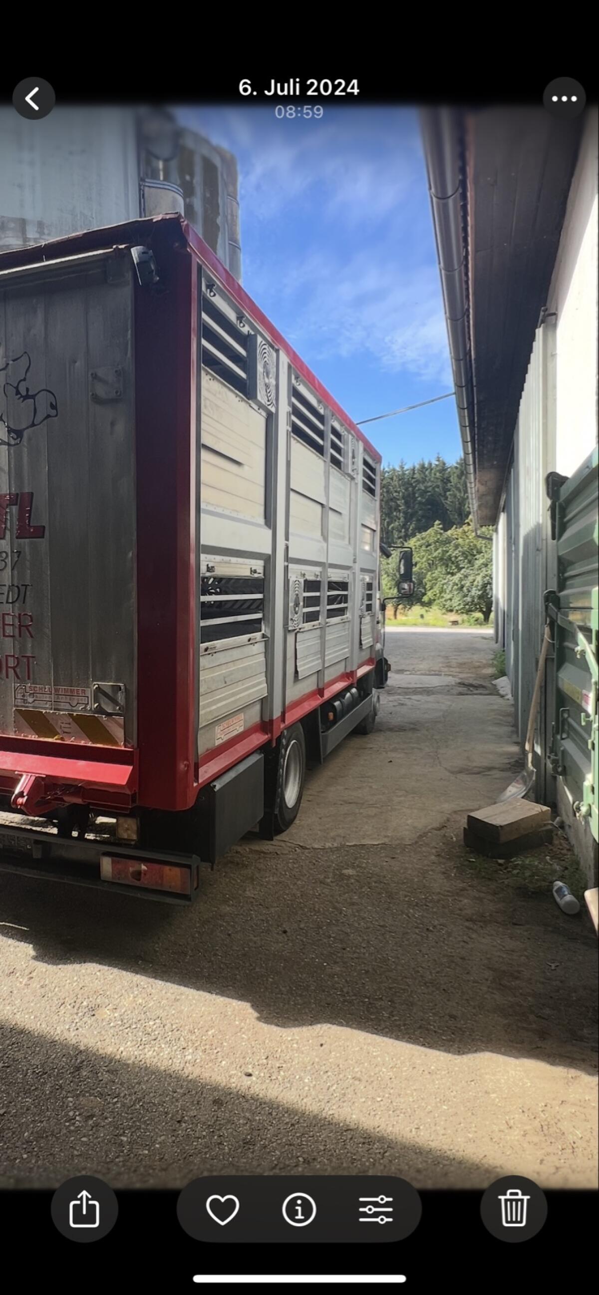 Viehtransporter Scheuwimmer 3