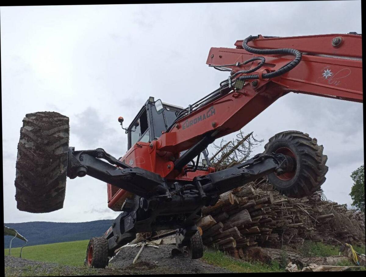 Schreitbagger Euromach 6500 Powertilt Spinne 2