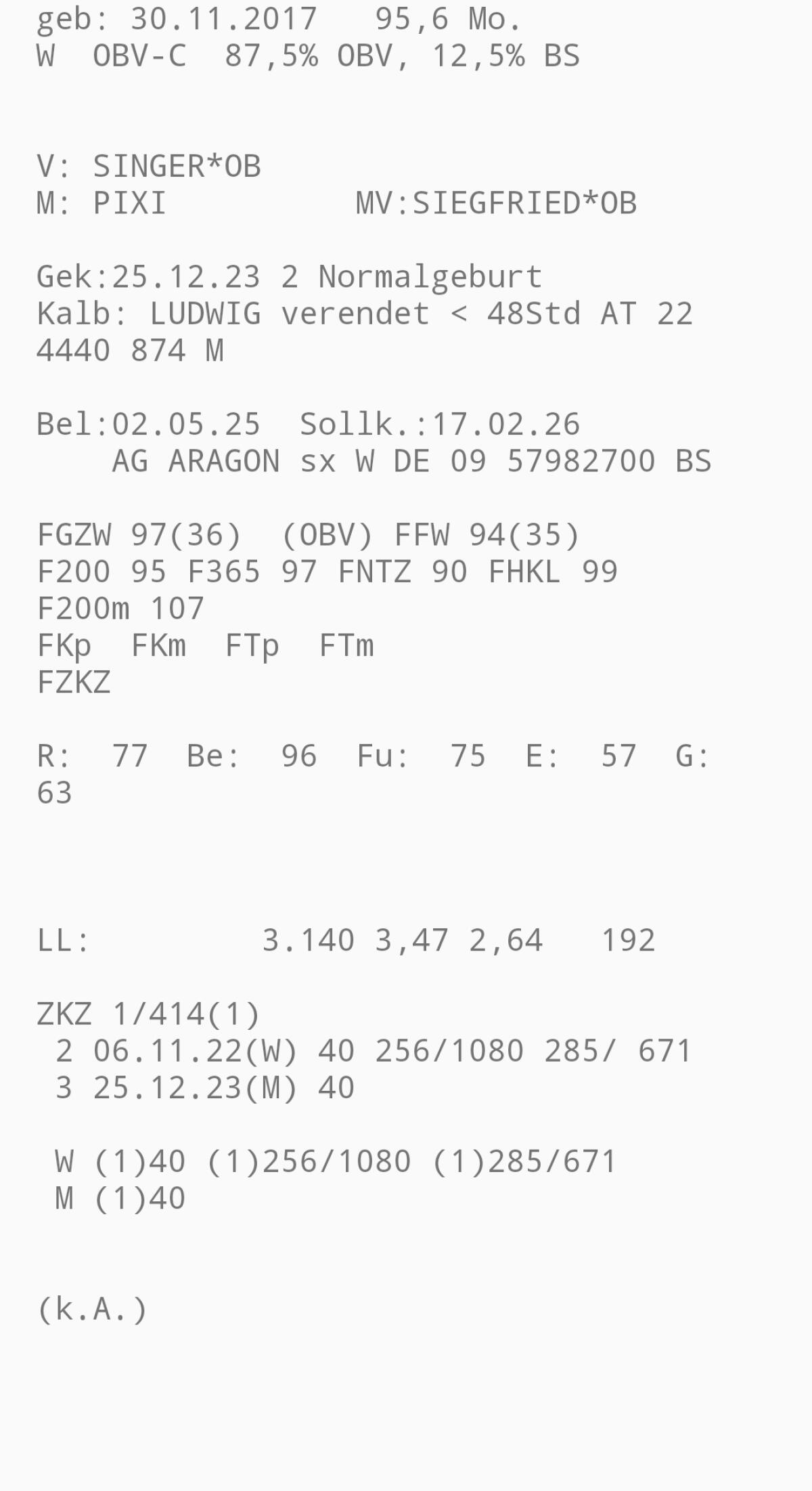 Trächtige Original Braunvieh Kuh 2