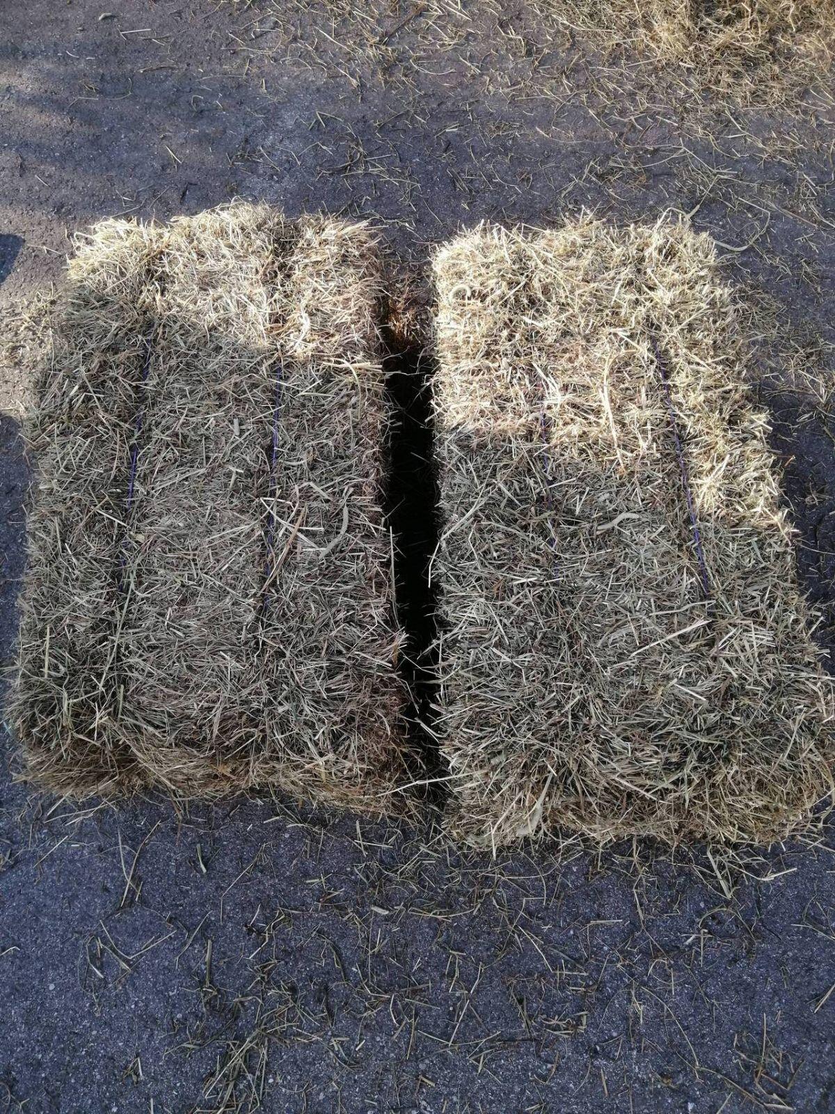 Bio Heuballen klein 2