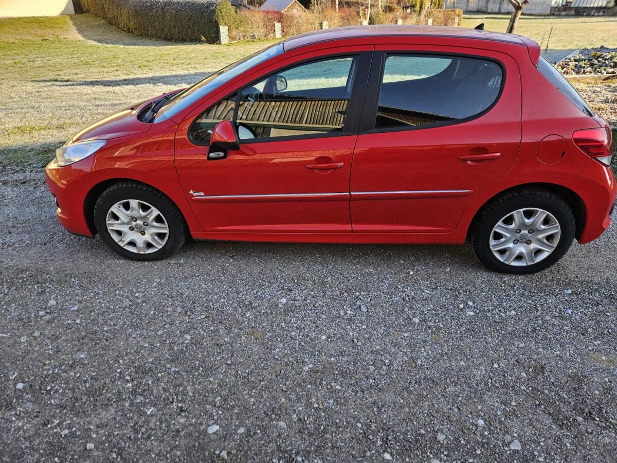 Peugeot 207 Husky 1