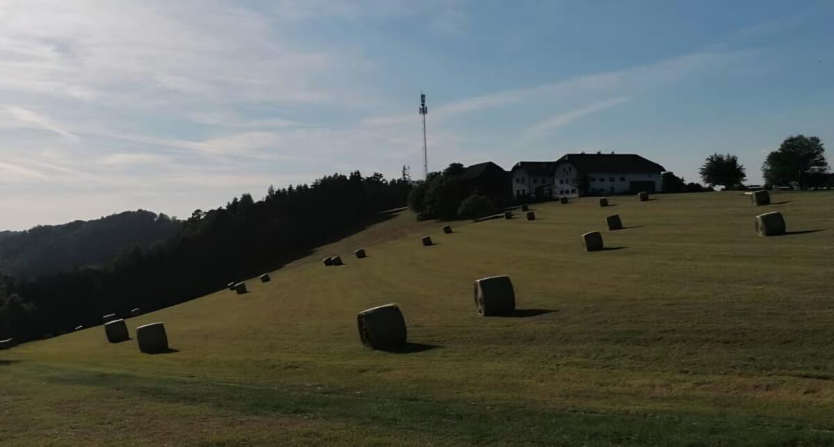 Heuballen aus Umstellung 1