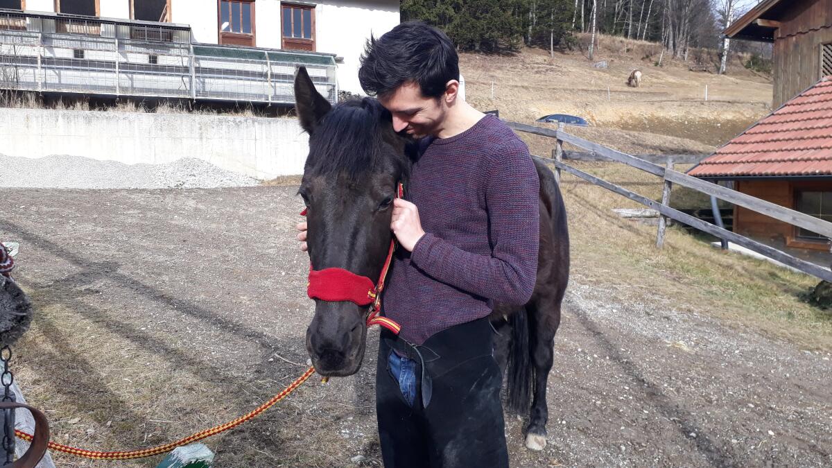 Beistellpferd zu verschenken 3