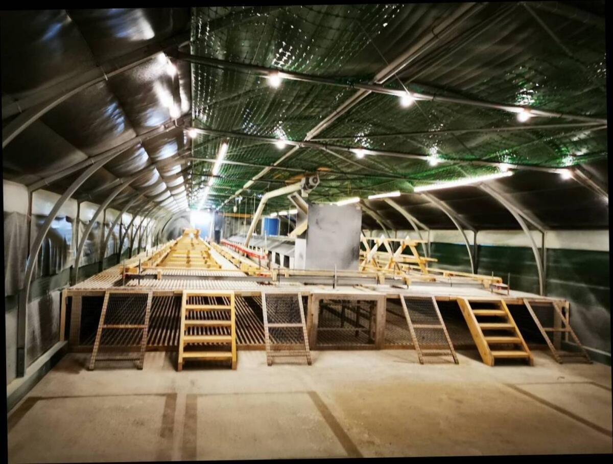 Legehennenstall, Bio, Hühner Mobilstall, Lagerhalle, Stall 2