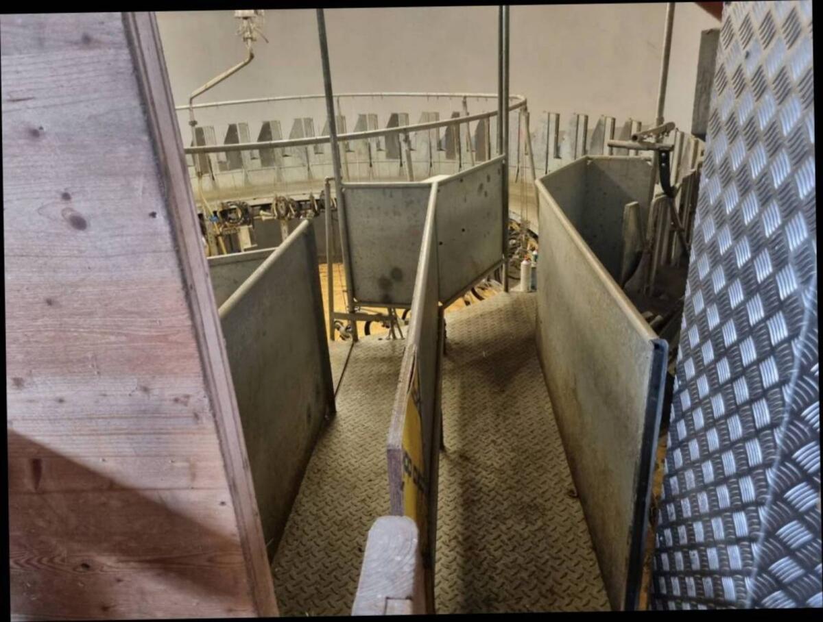 Melkkarussell Schafe Ziegen 2