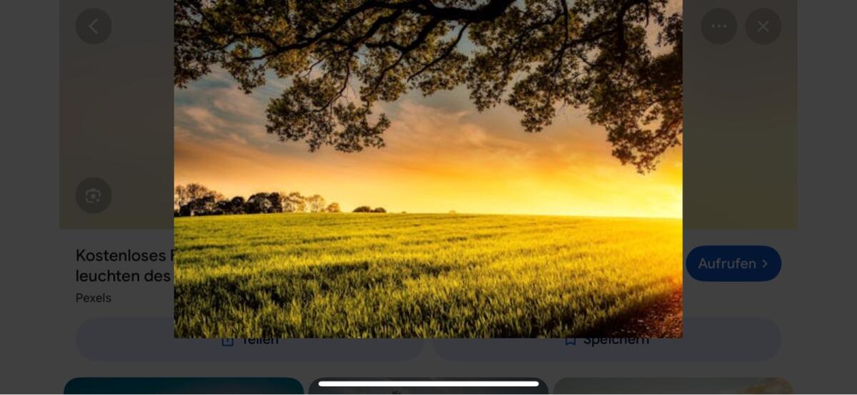 Mitarbeiter für Landwirtschaft gesucht 1