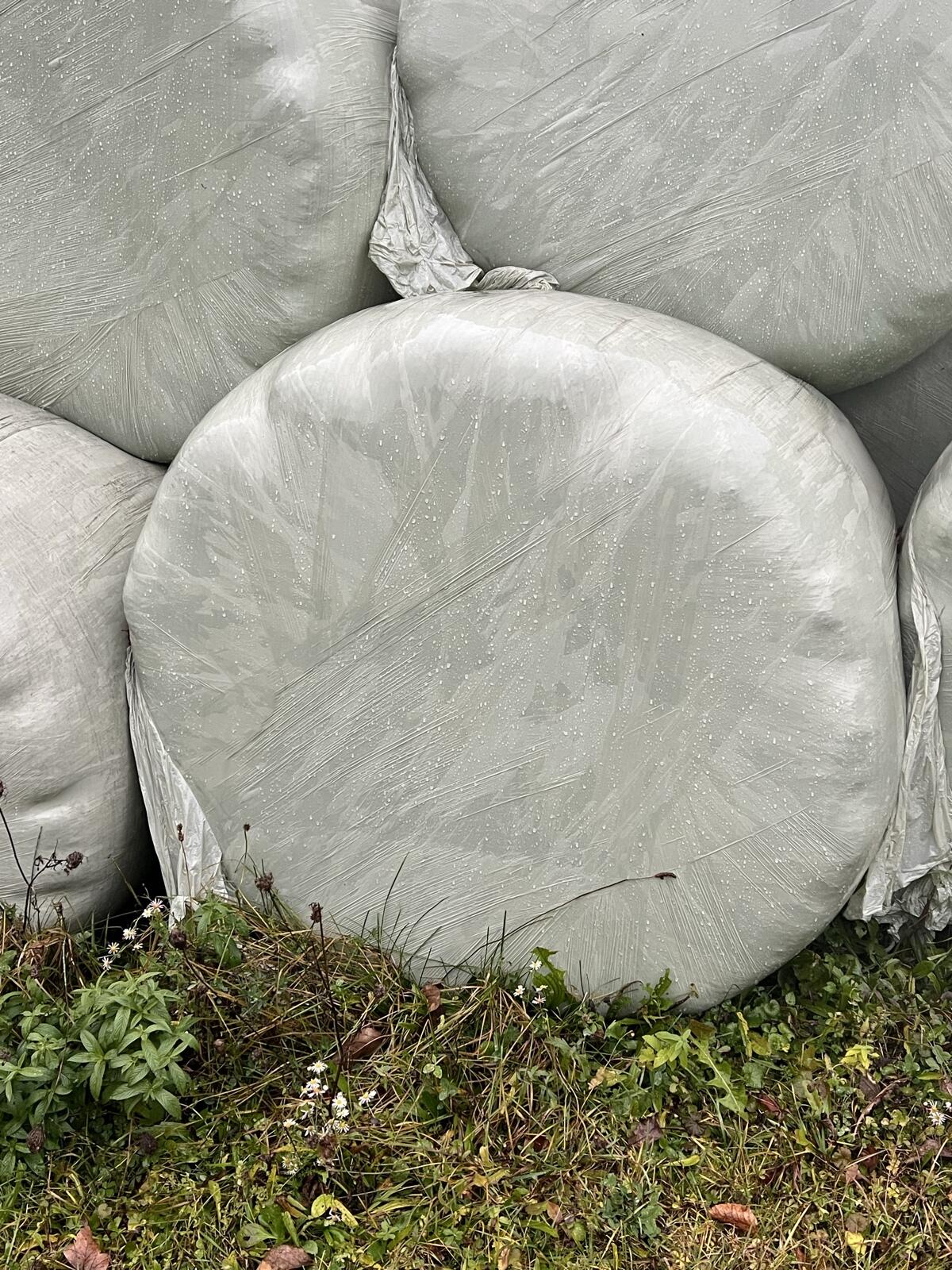 Bio Siloballen mit Bio-Zertifikat 3