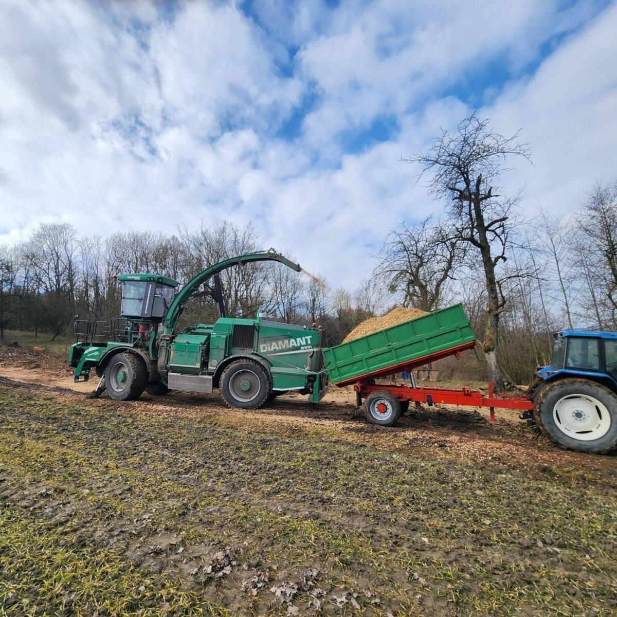 Holz Hackgut Hackschnitzel G30 2