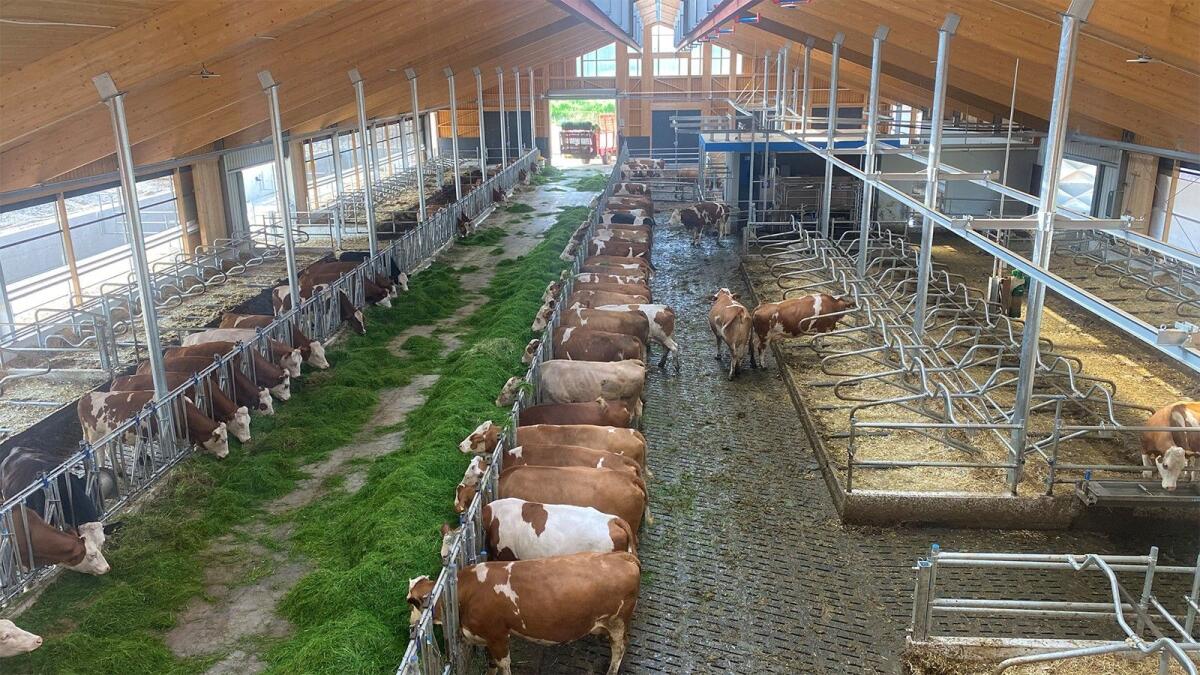 EFG Betriebsverdienstsicherheit 2