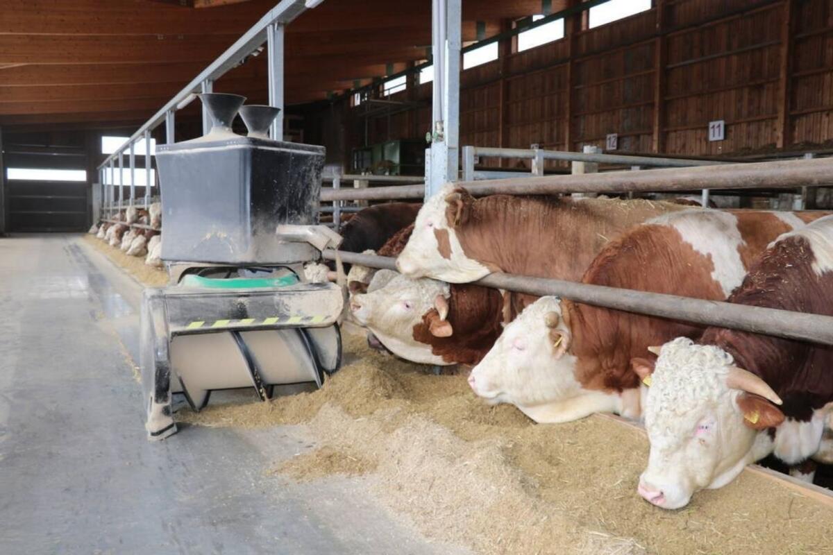 EFG Betriebsverdienstsicherheit 3