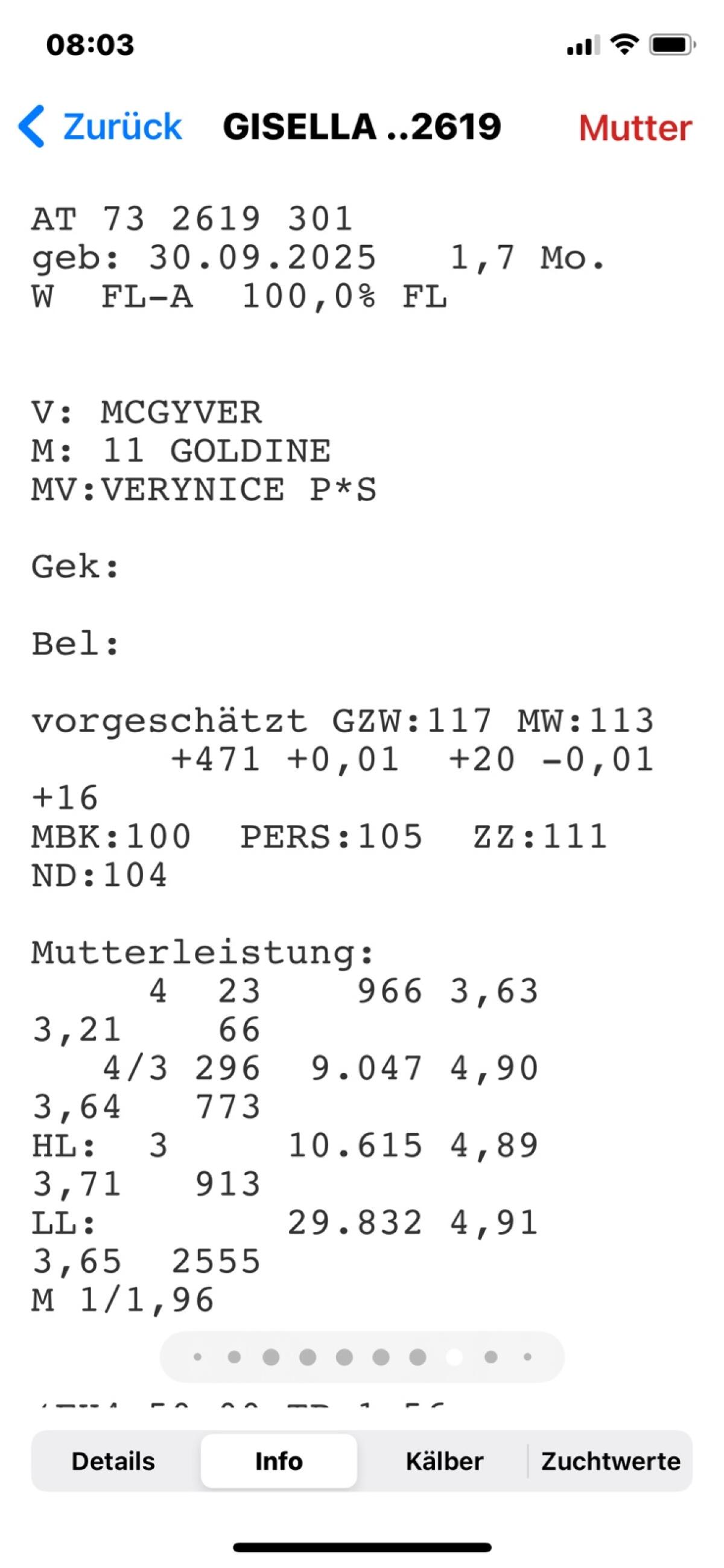 Verkaufe Fleckviehkalb 1