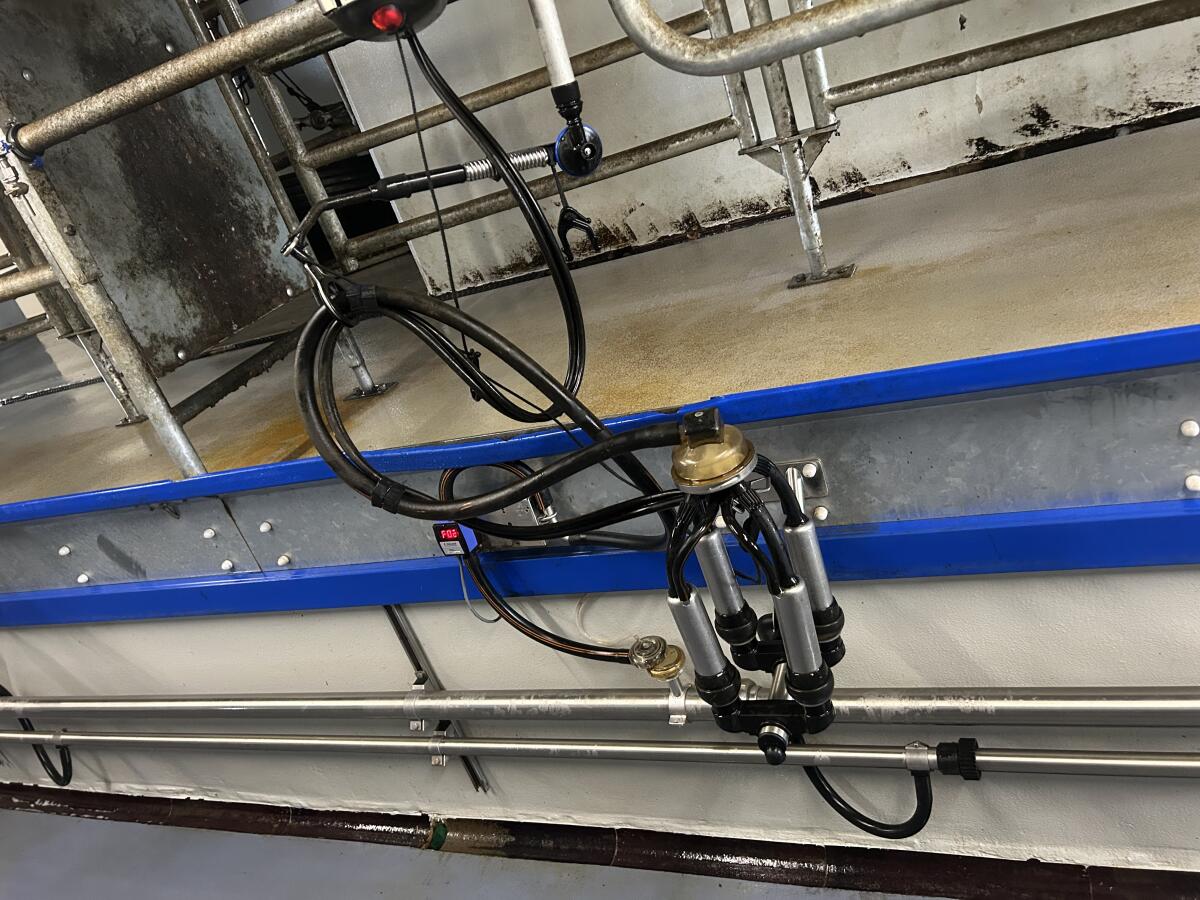Delaval Melkstand Doppel 5 Autotandem 2