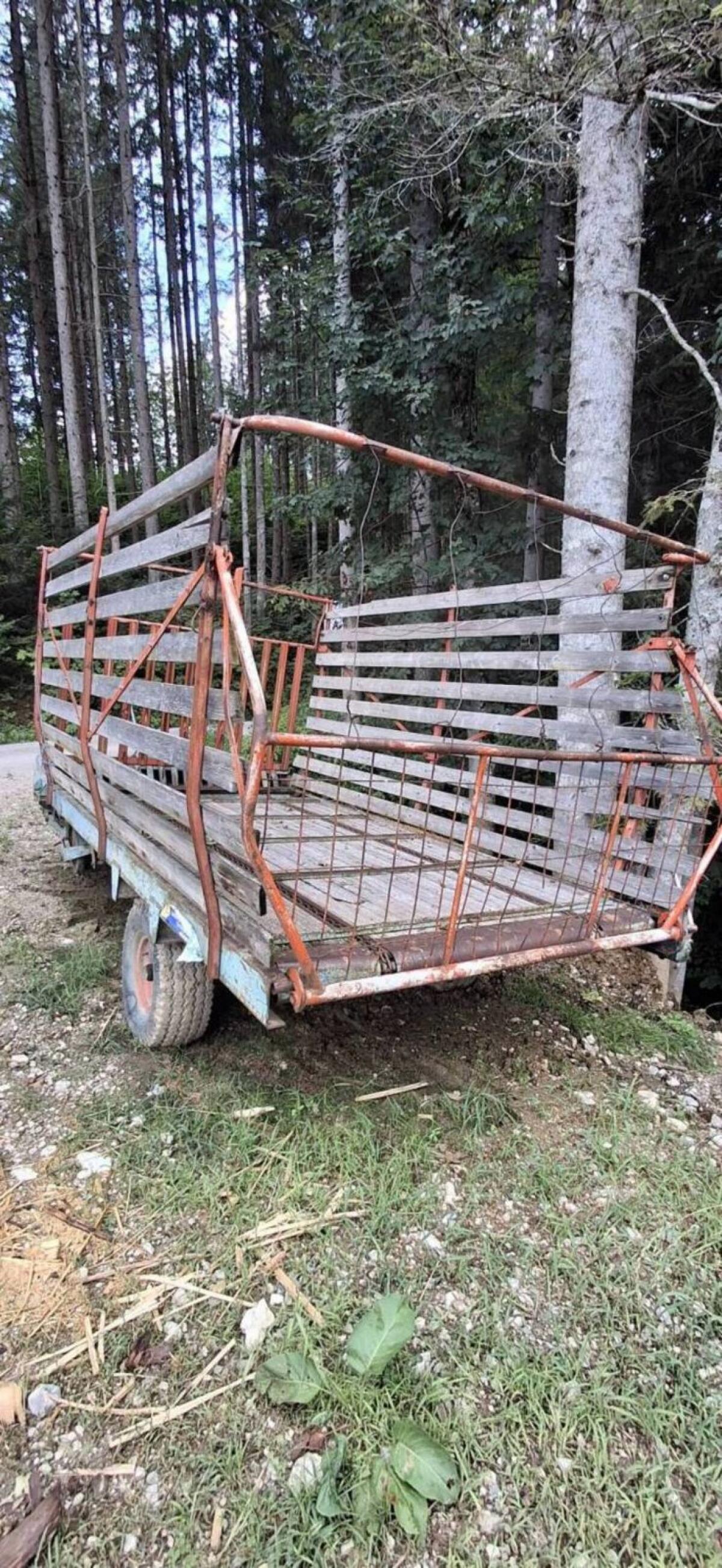 Steyr Hamster Ladewagen 2