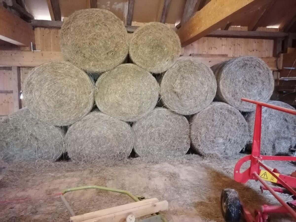 Heu Rundballen 140 cm Dm. 1