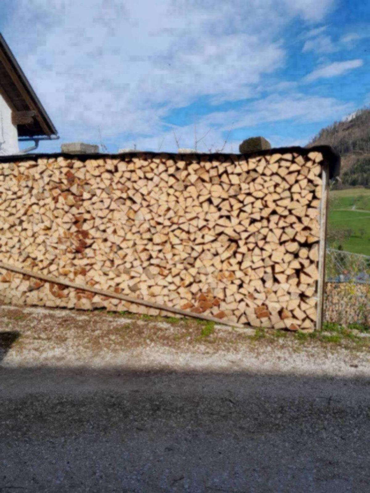 Brennholz hart, trocken 1