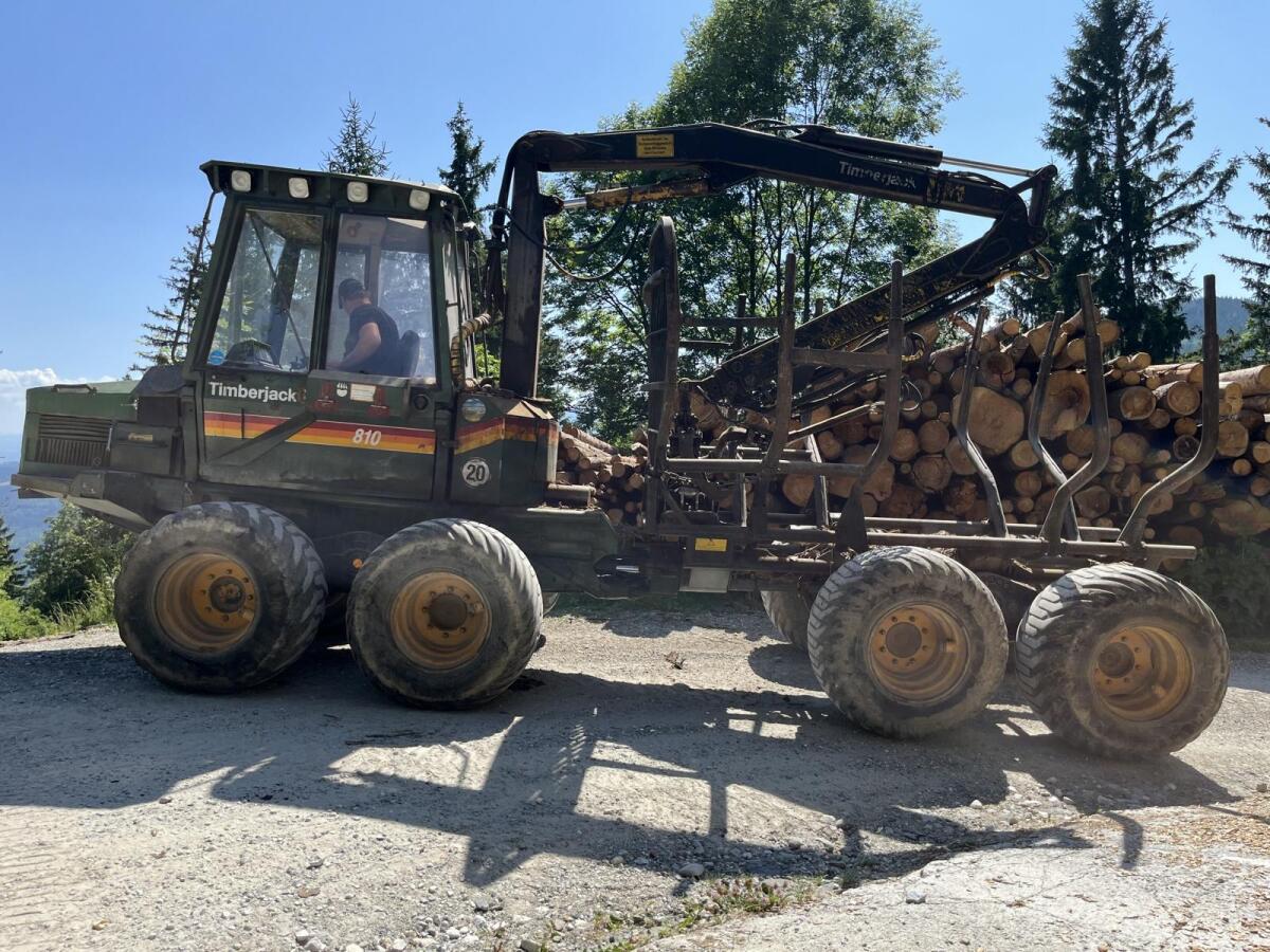 Forwarder Rückezug Timberjack 810 3