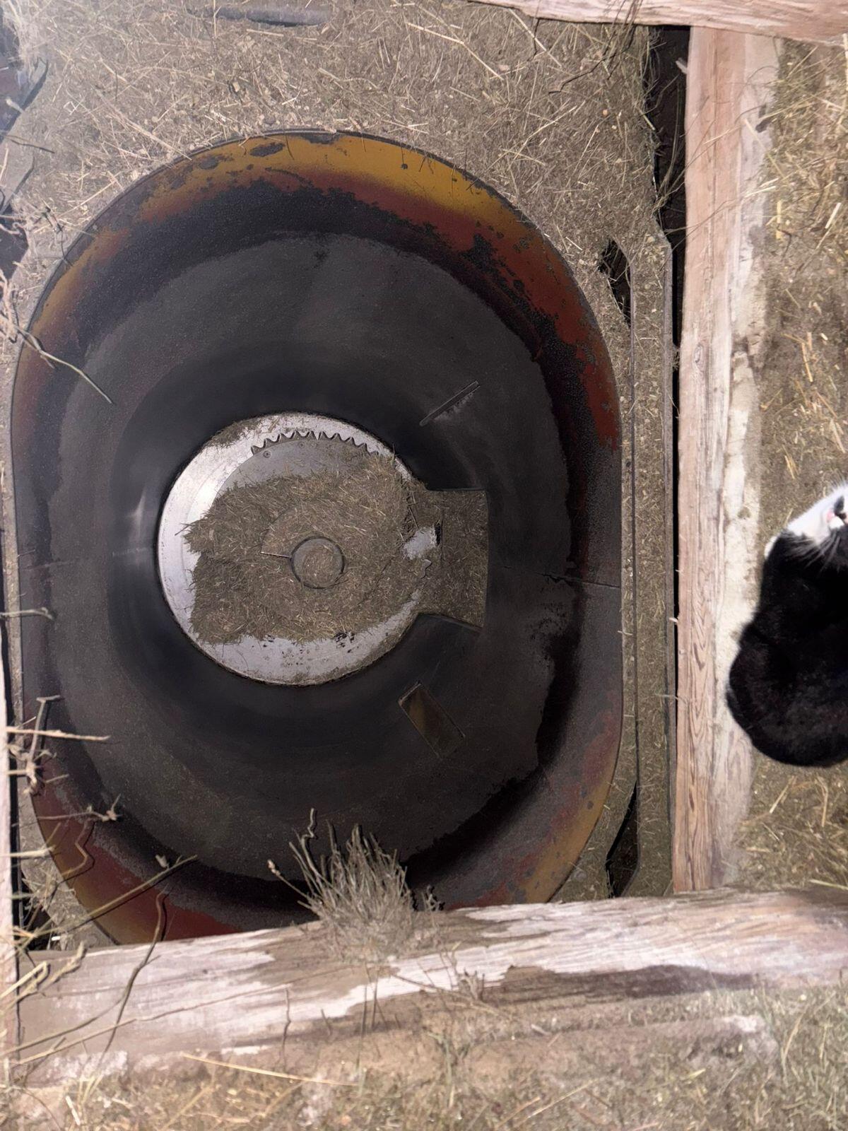 Futtermischer Stationär Mammut 2