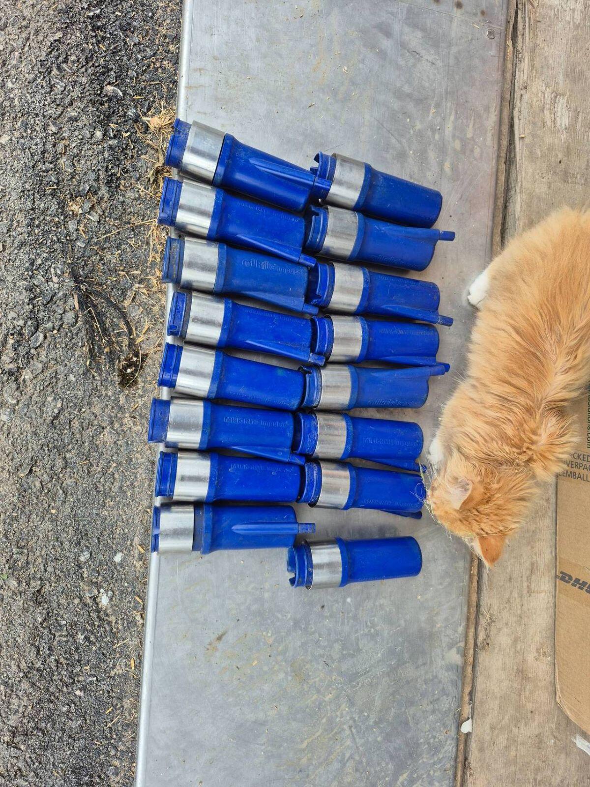 Milk-Rite Impulse Zitzenbecher 2