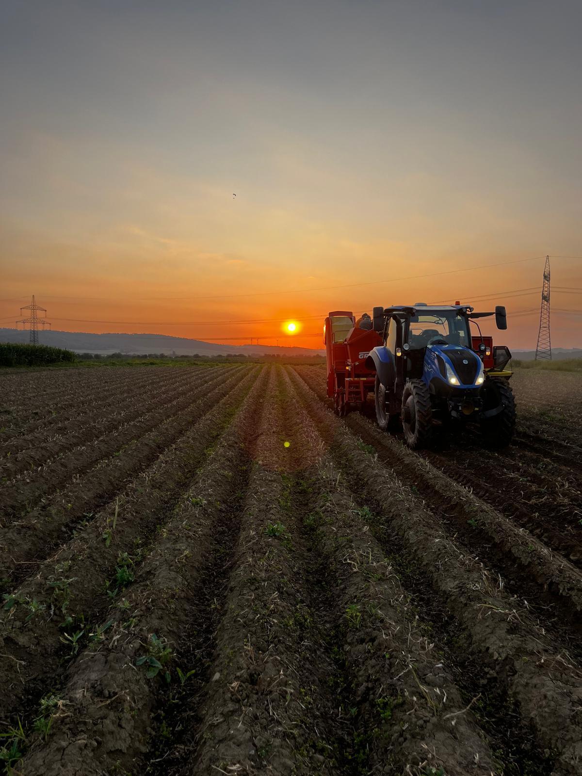 1-2 Praktikanten/innen für Sommer 2026 1