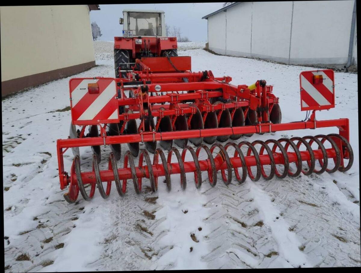 Scheibenegge Knoche 2