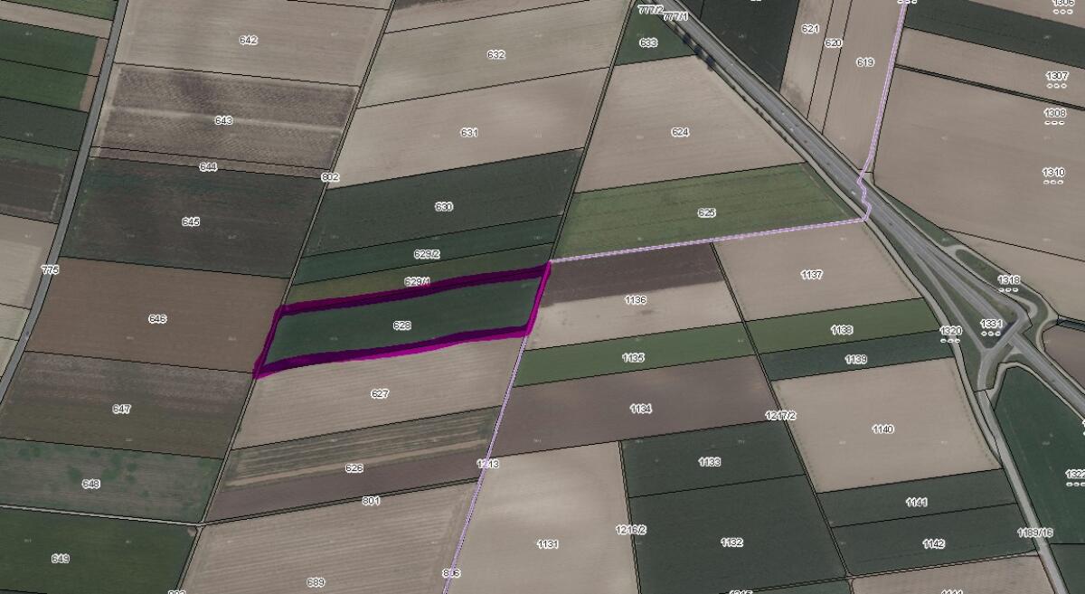 Agrarfläche zu verkaufen Pettendorf / Wolfpassing B19 1