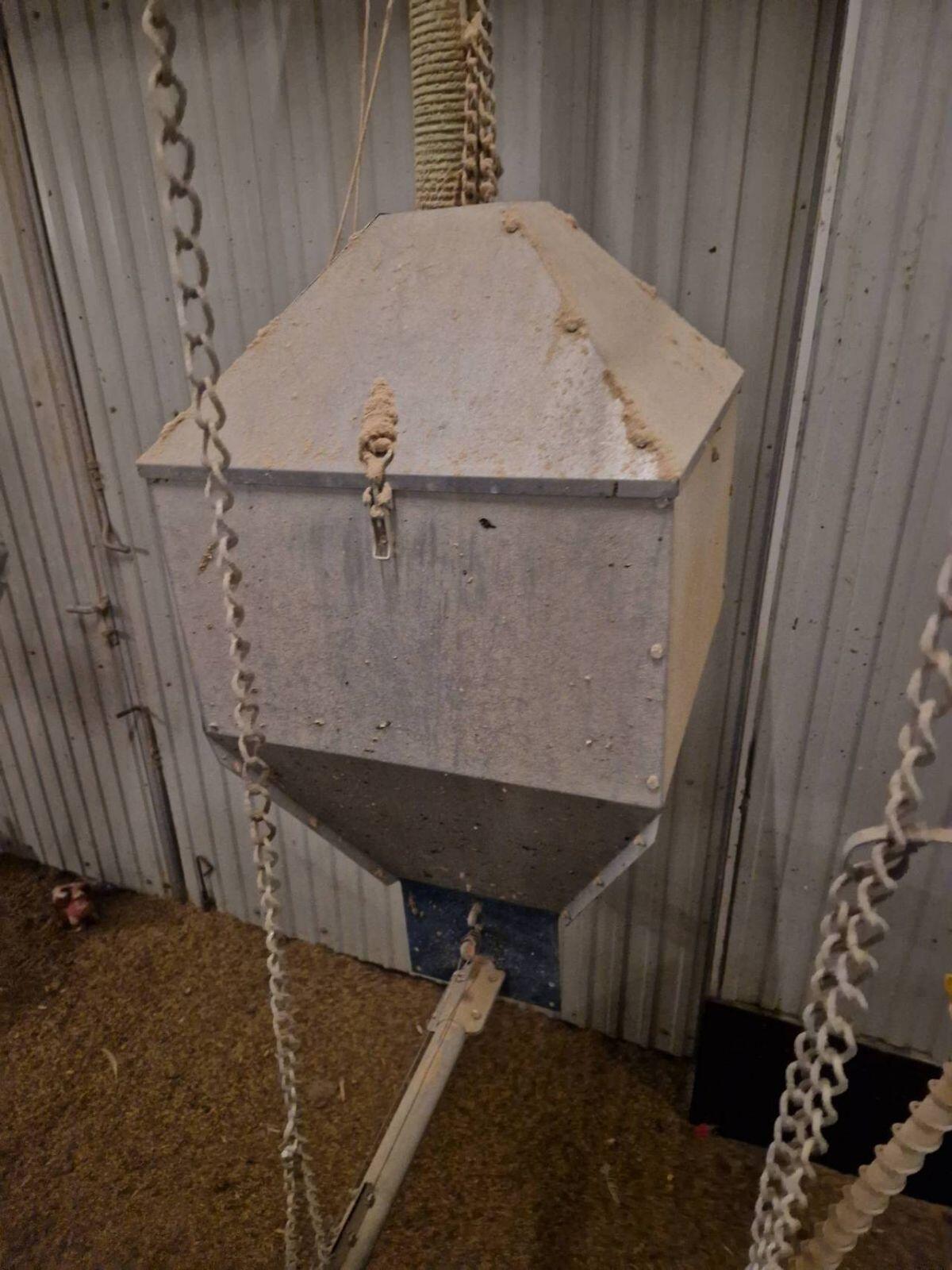 Legehennen-Stalleinrichtung 3