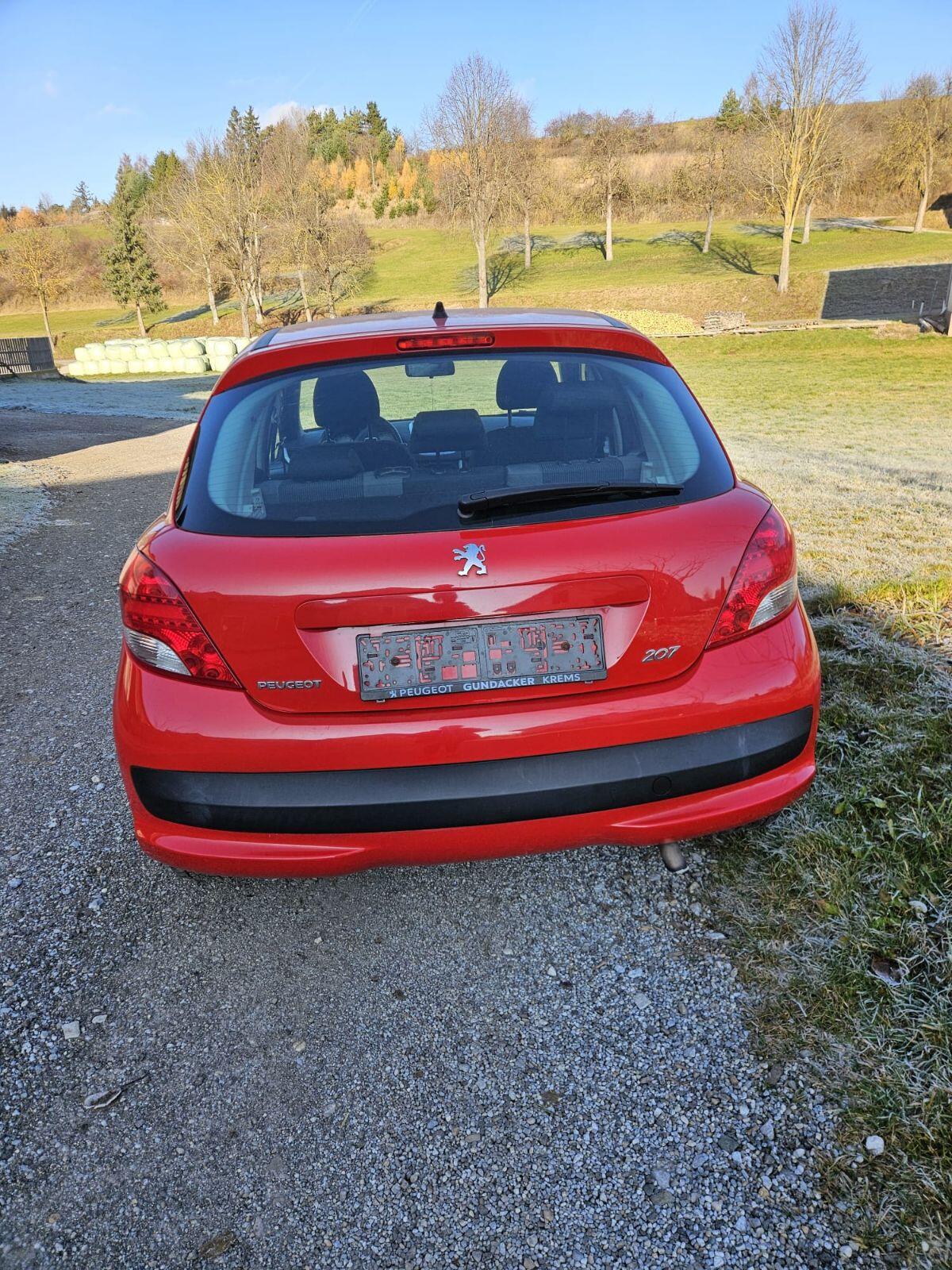 Peugeot 207 Husky 2