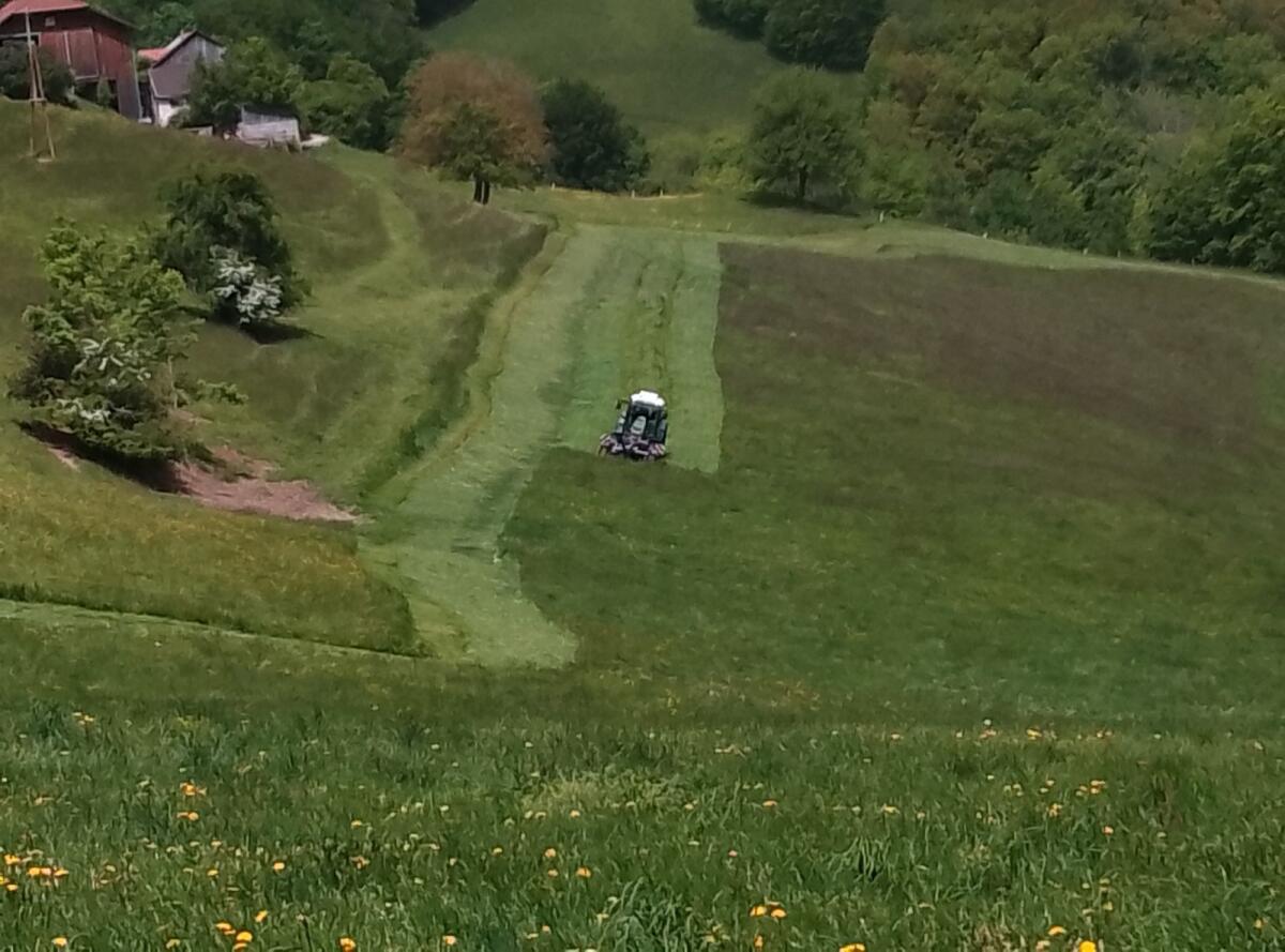 Übernehmen Mäharbeiten 1