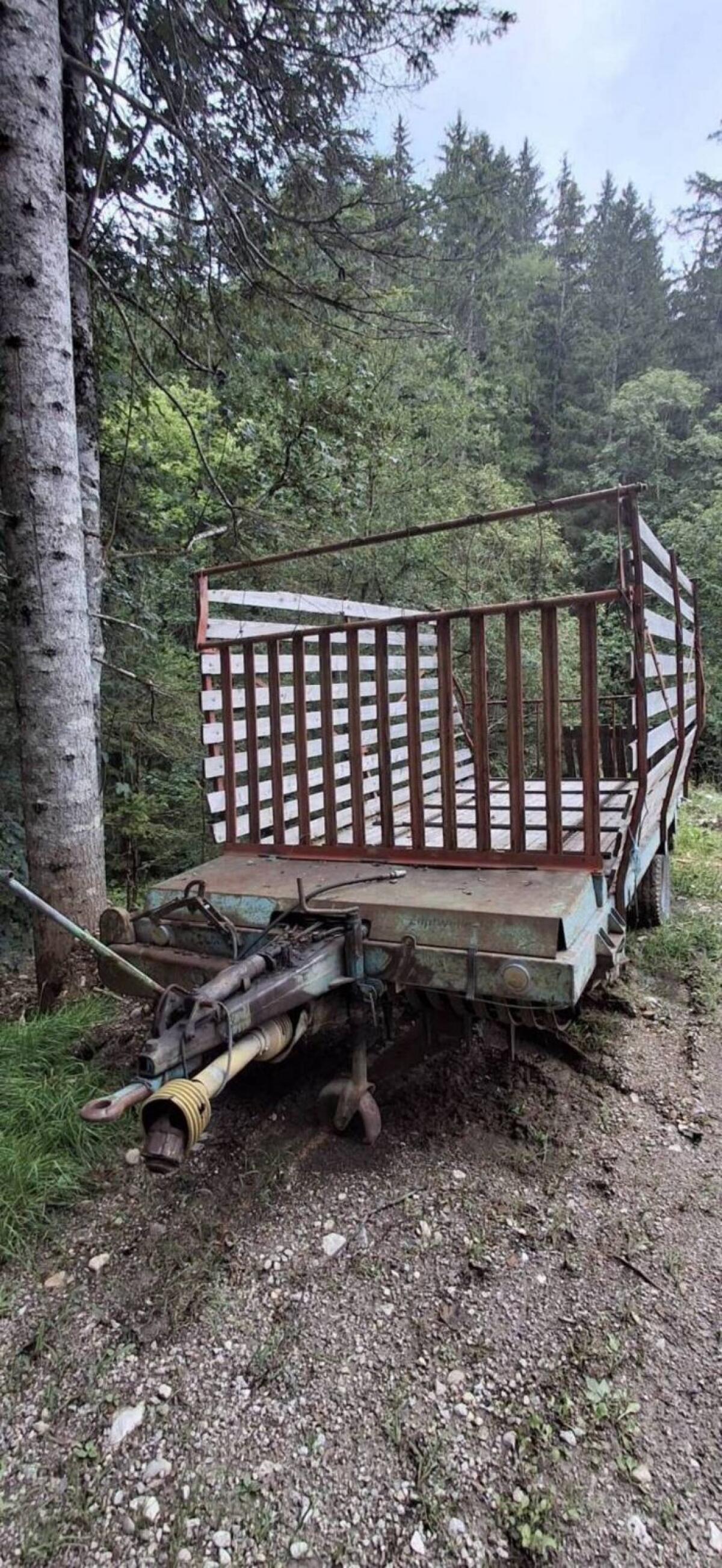 Steyr Hamster Ladewagen 1