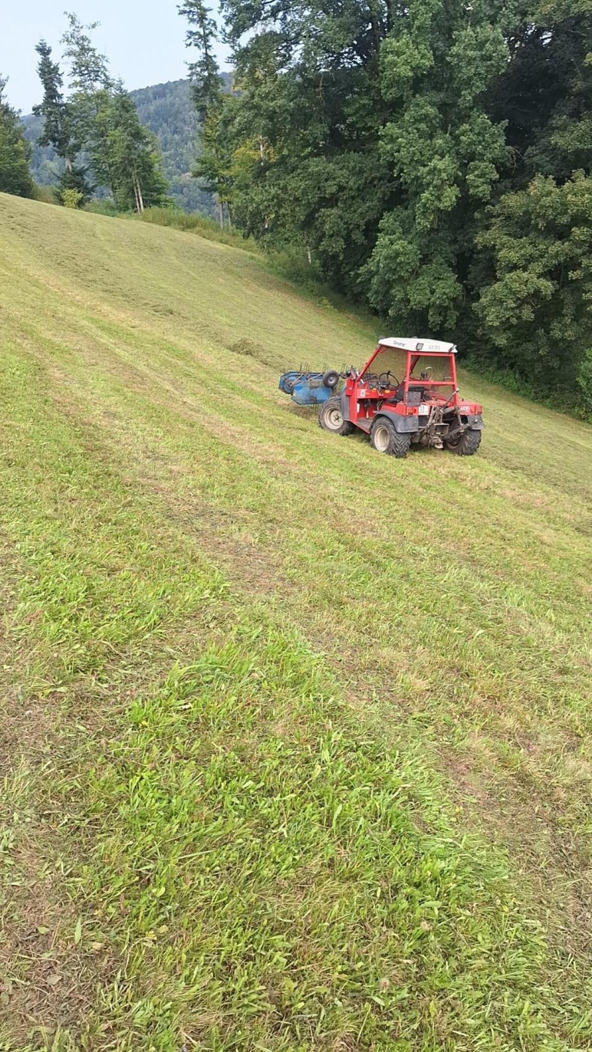 Suche Pachtflächen 1