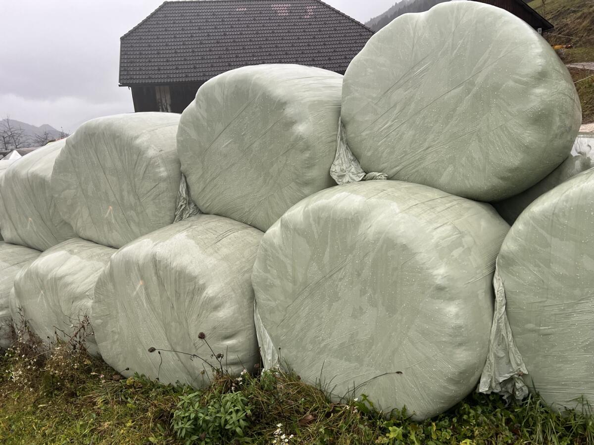 Bio Siloballen mit Bio-Zertifikat 2