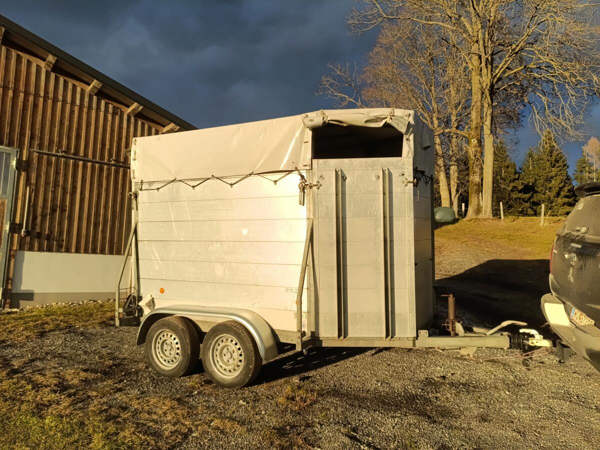 Viehanhänger 2.640 kg Gesamtgewicht Sambo 1