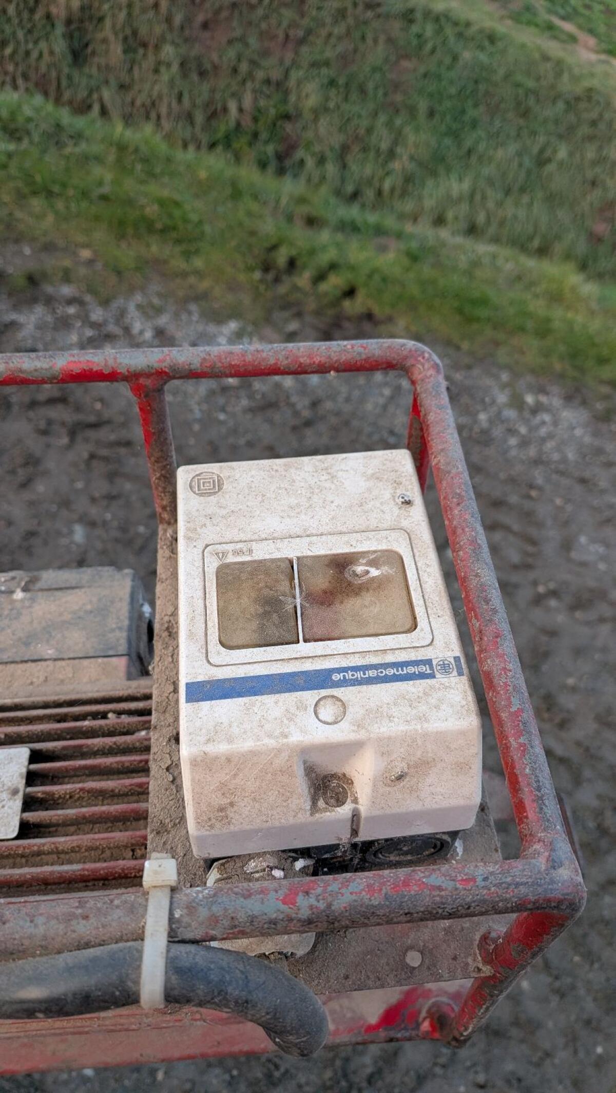 Körnerschnecke, Musschnecke 3