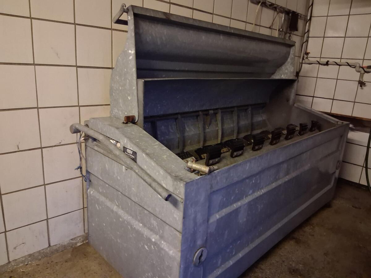 Brüh- und Enthaarungsmaschine für Schweine 1