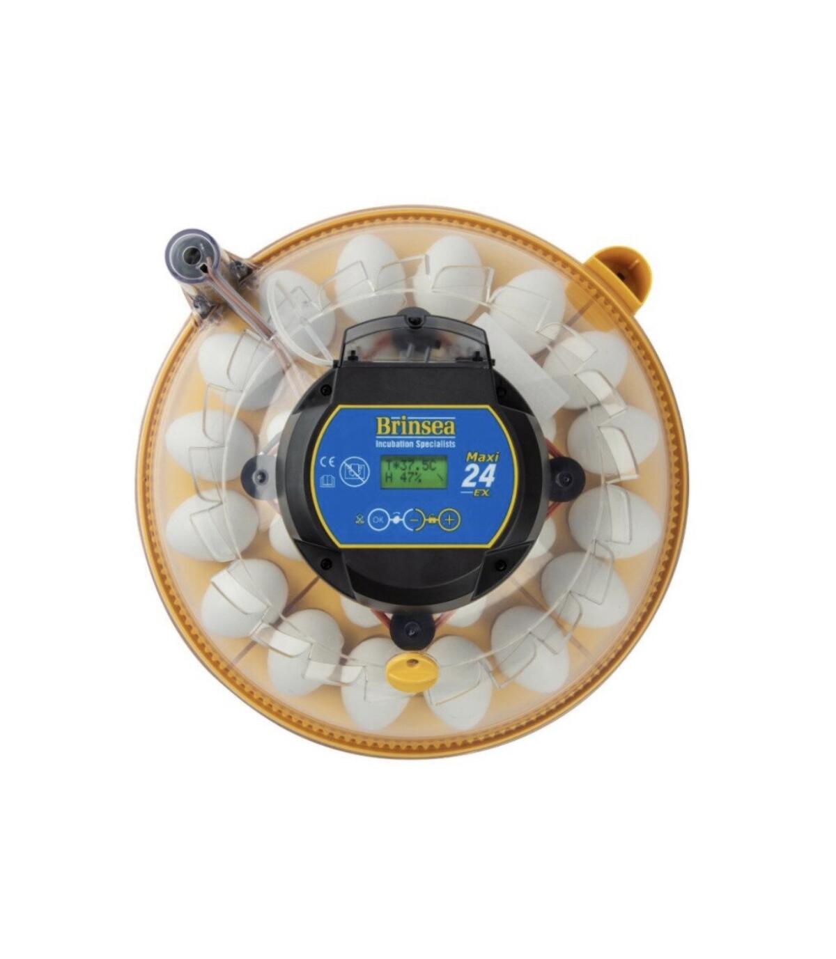 Brutautomat Brinsea Maxi 24 Ex 2