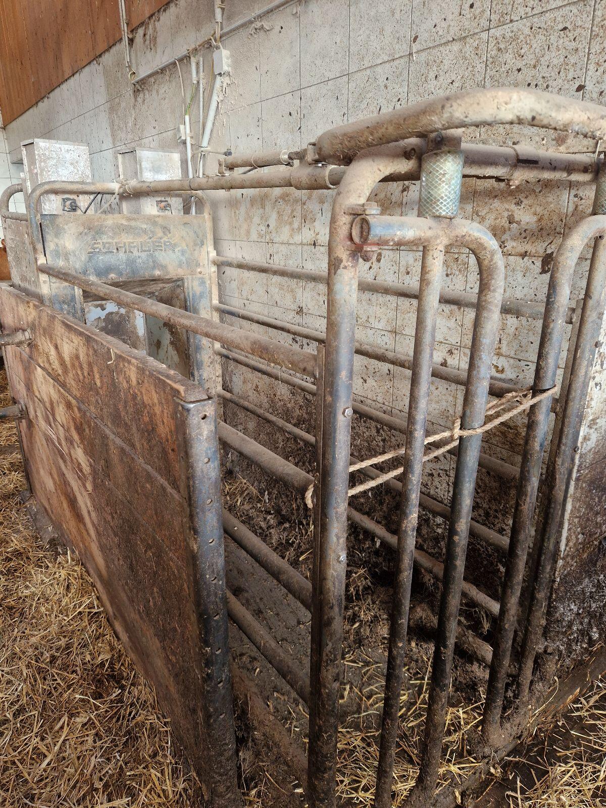 Verkaufe Futterstation Schauer 1