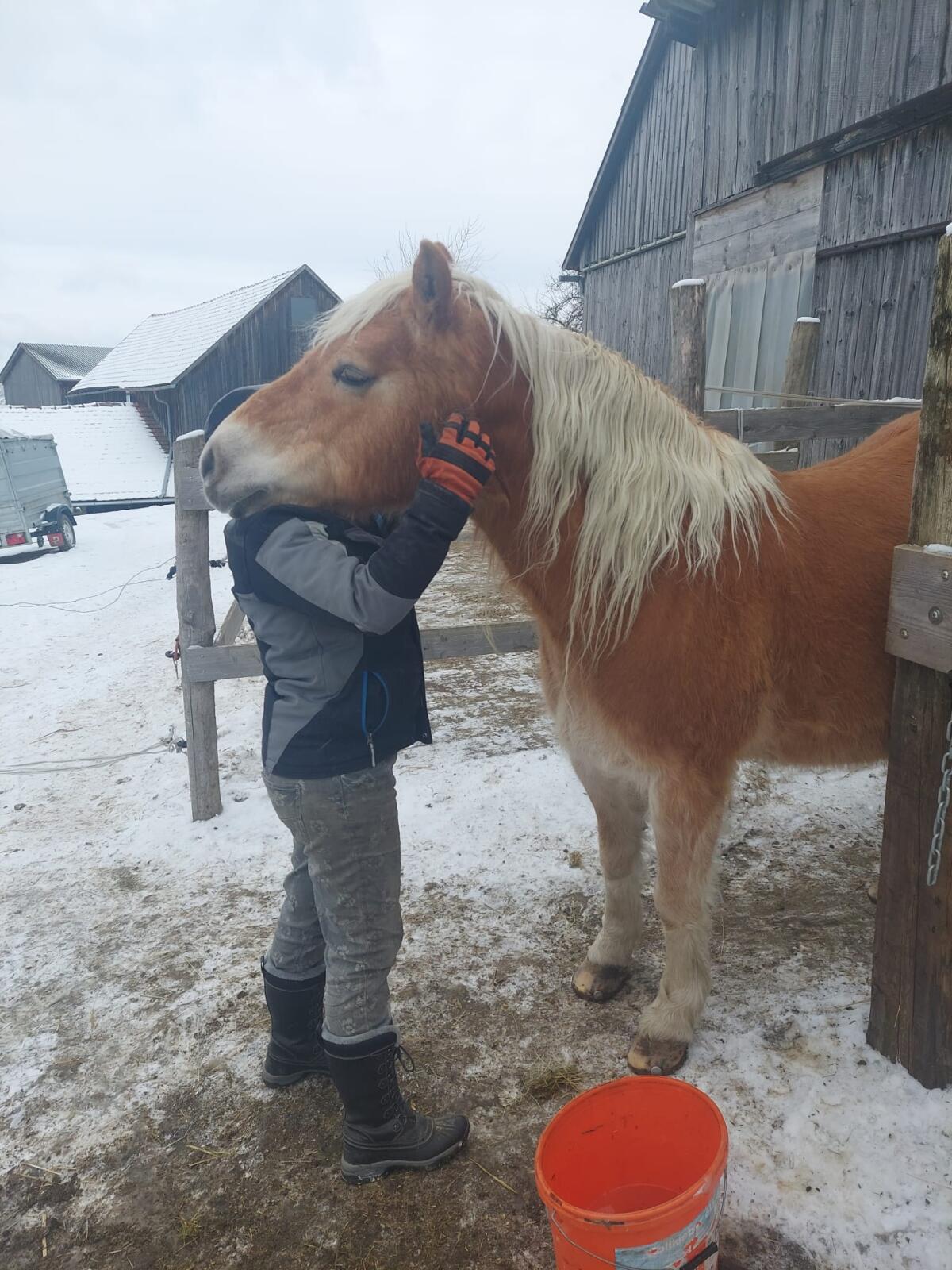 MitreiterIn gesucht 3