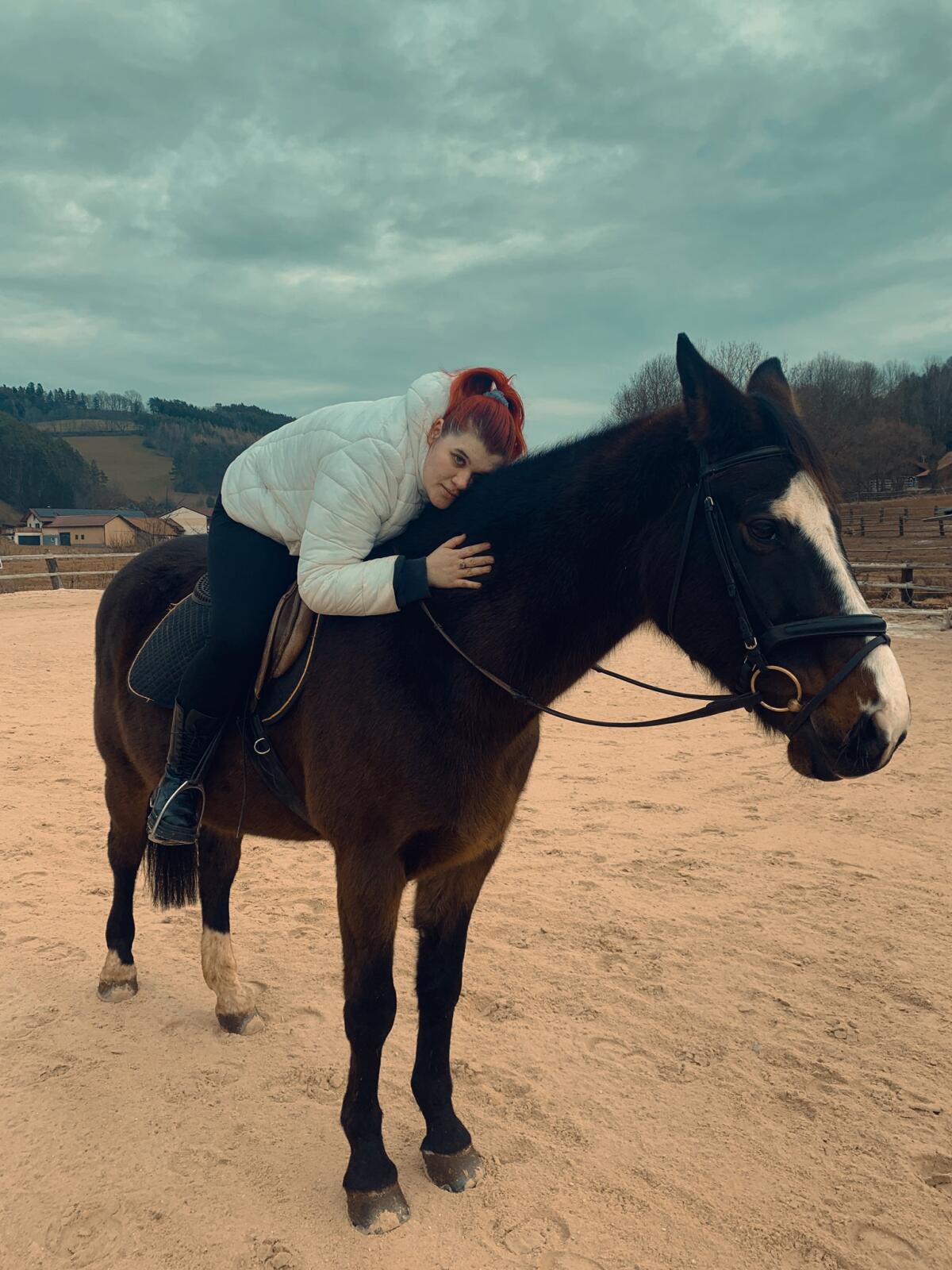 Wunderschönes Freizeitpferd Ad Libitum 1