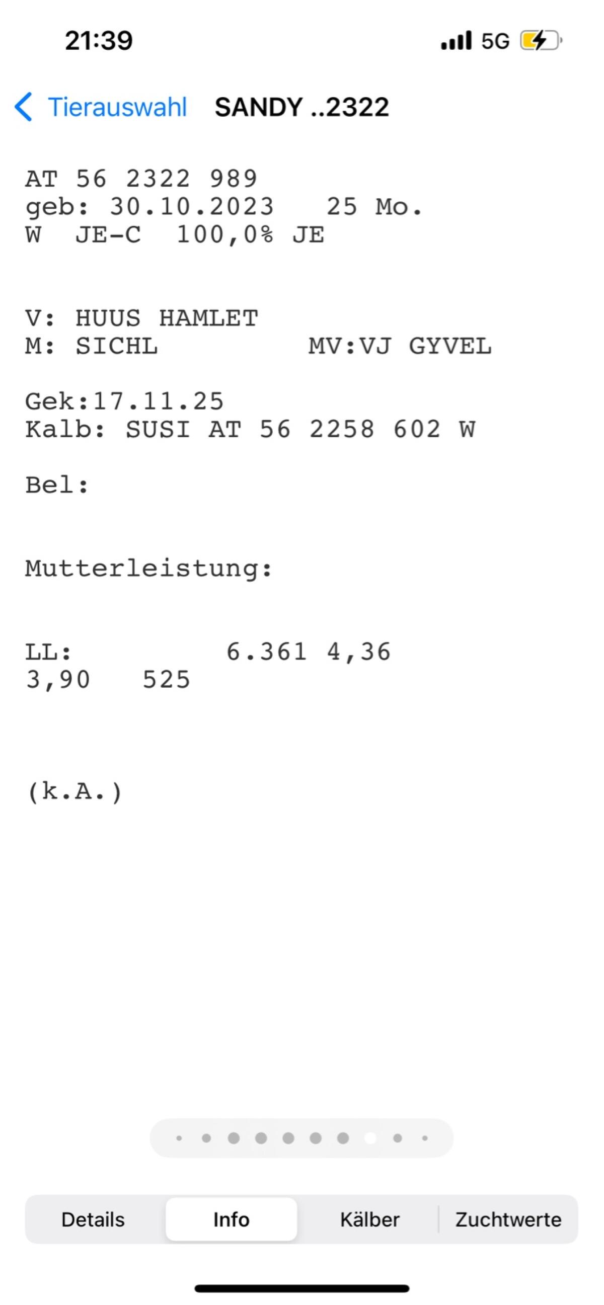 Jersey Erstmelkkuh zu verkaufen 3