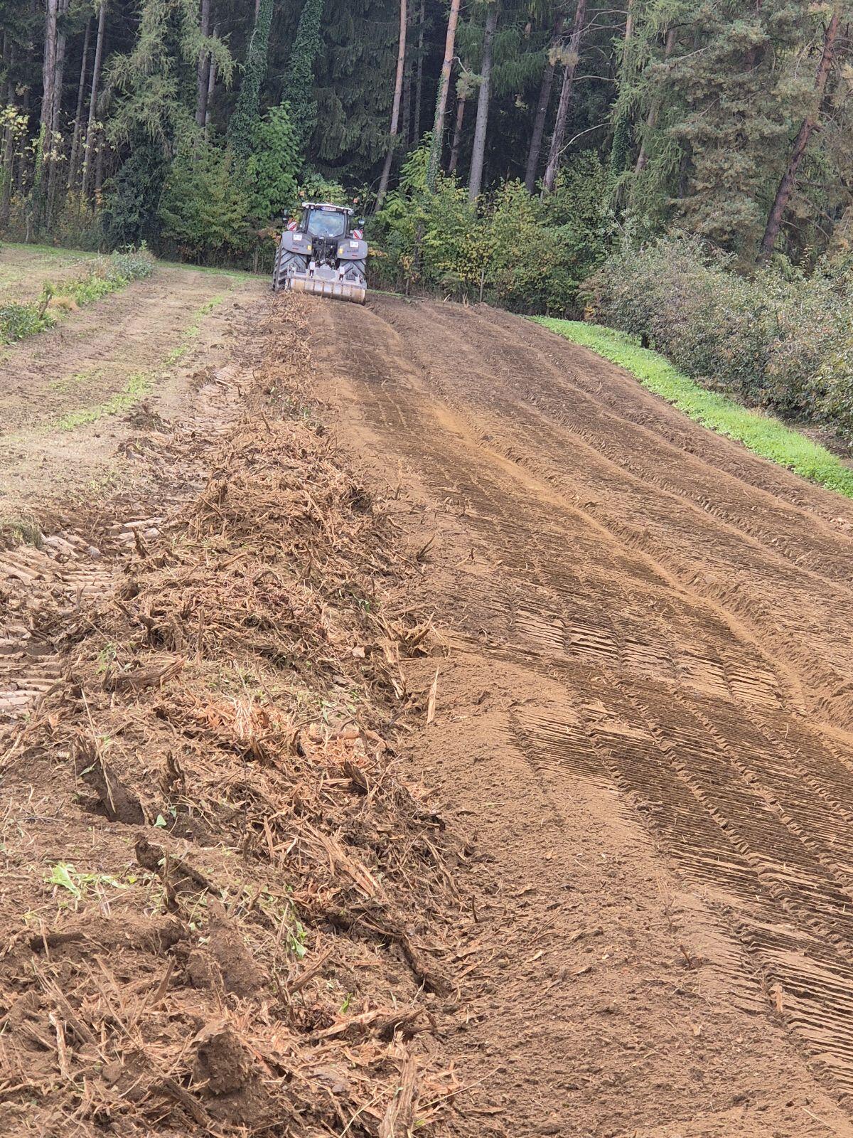 Forstmulchen - Rodungsfräse 2