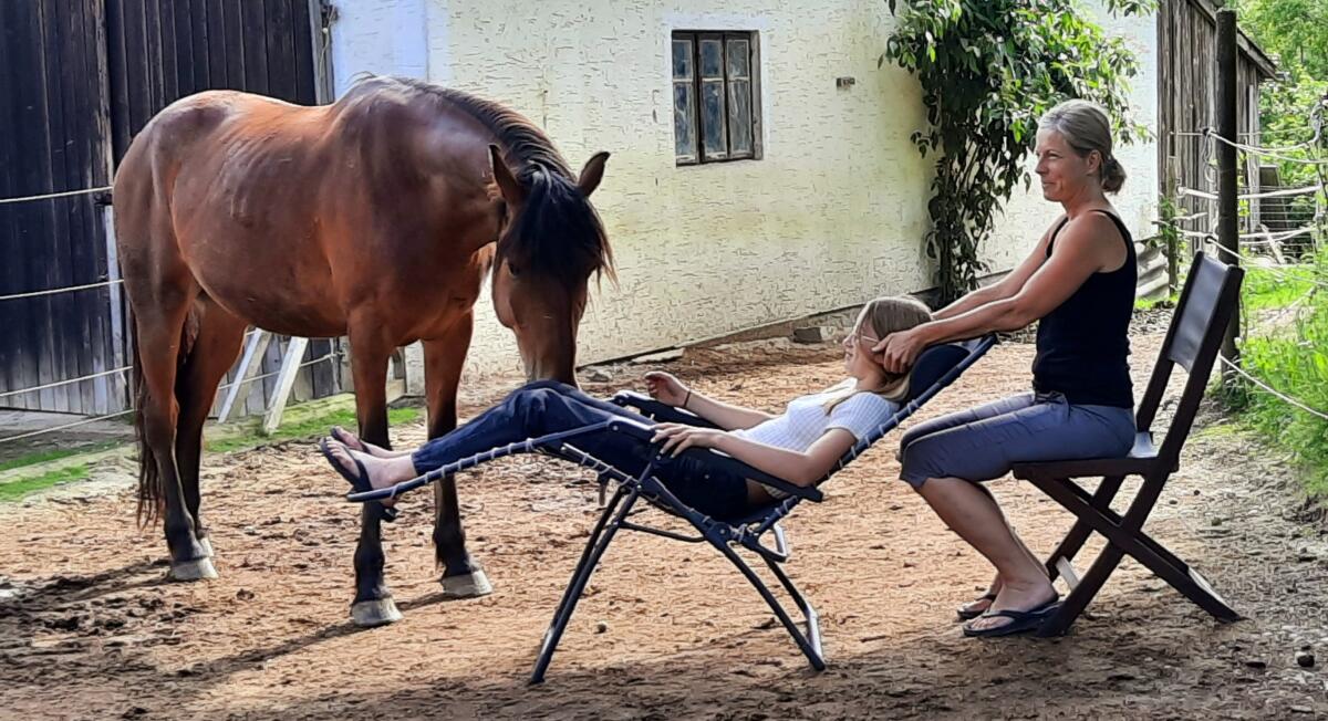 Verkaufe wunderschönes Familienpferd, Freizeitpferd 3