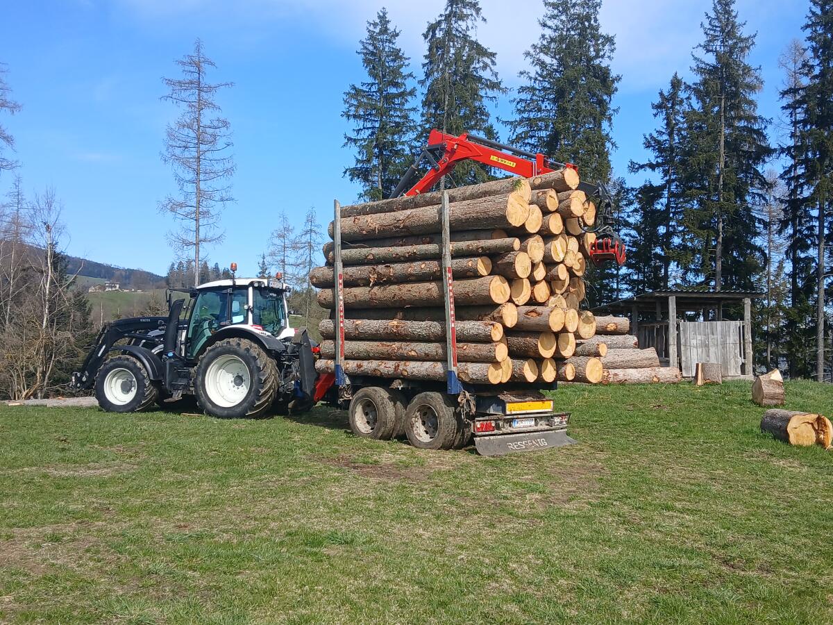 Forstanhänger mit Krpan Kran 8,4m 1