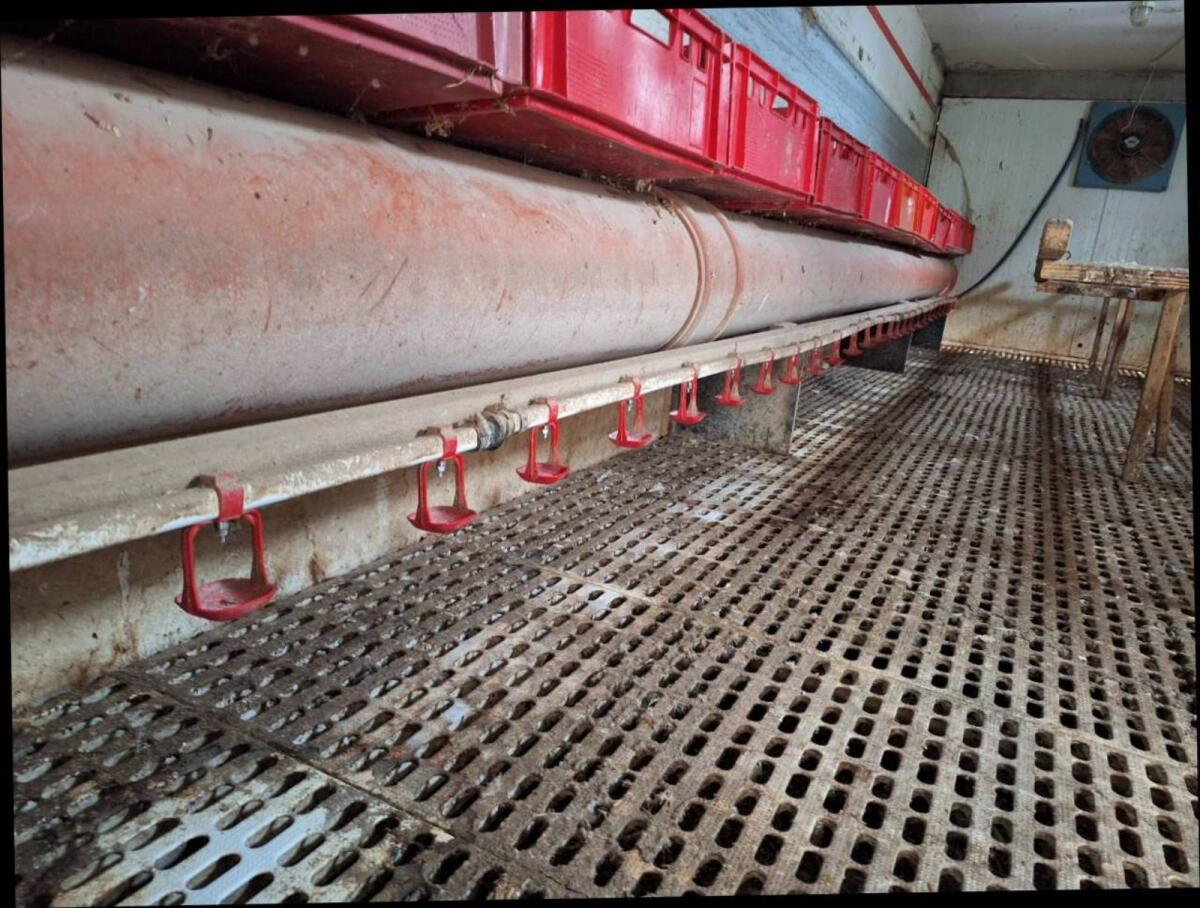 Mobiler Hühnerstall 3