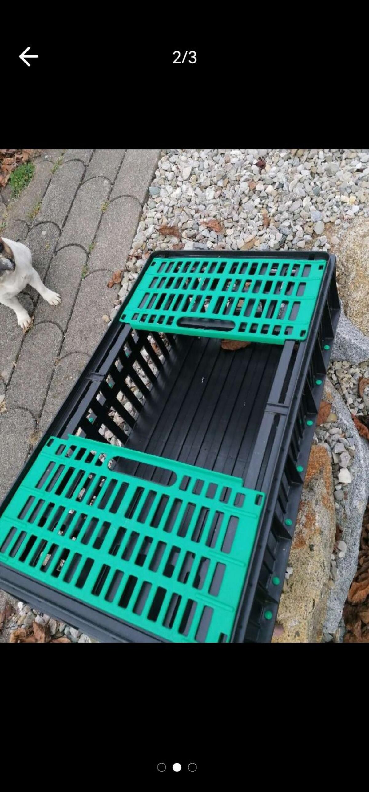 Transportbox für Geflügel 1