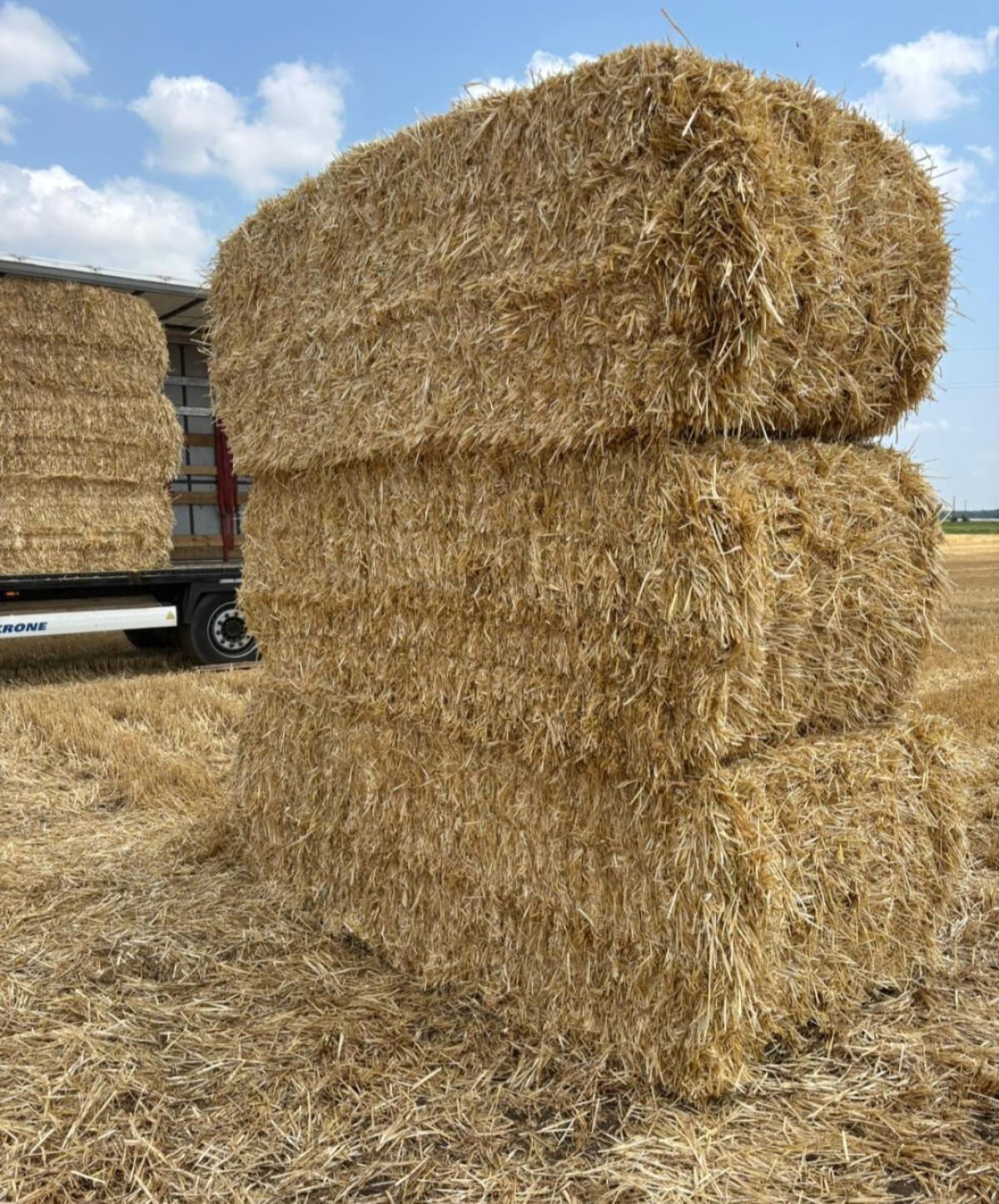 Stroh, Weizenstroh, Gerstenstroh 3