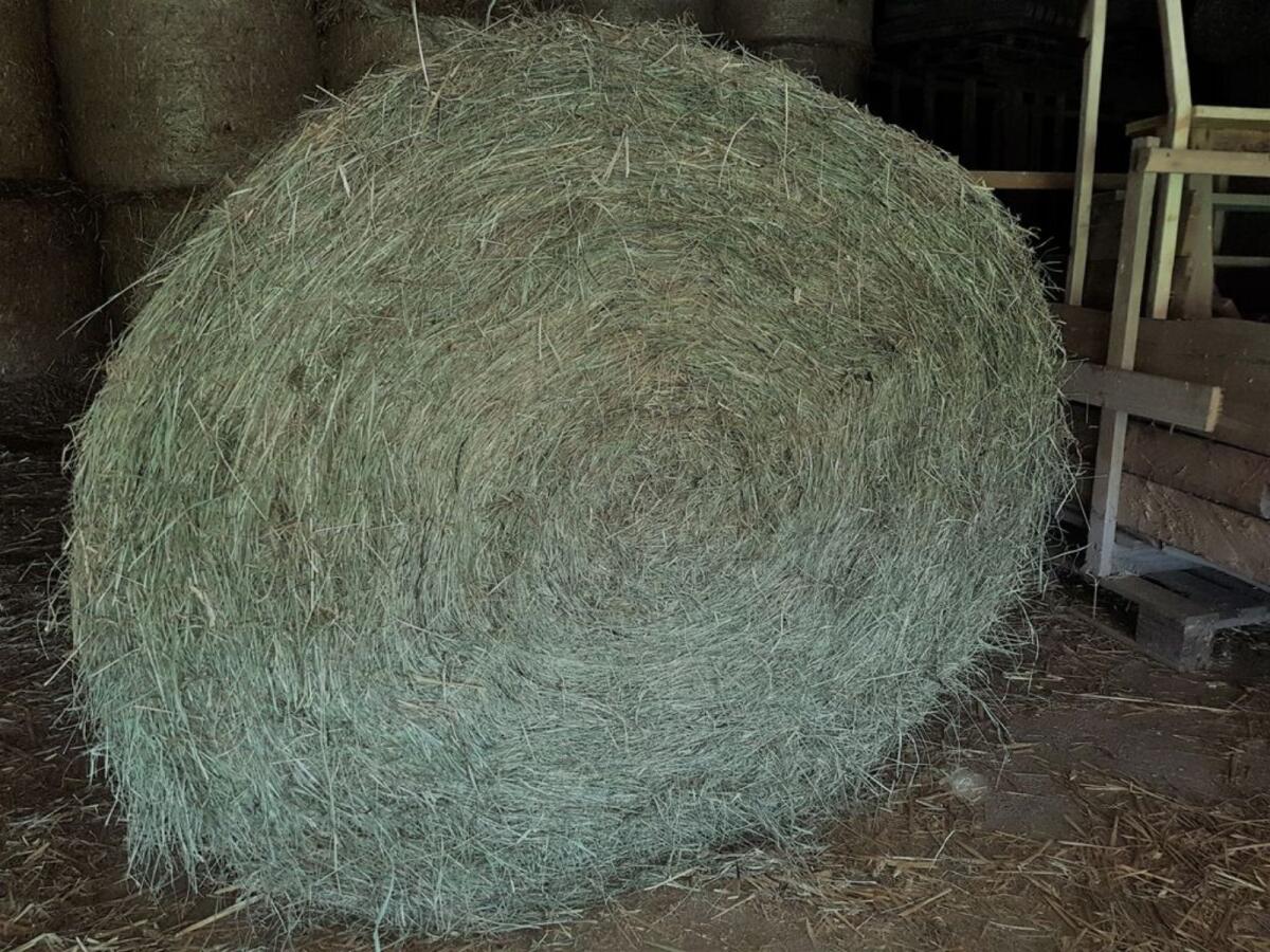 Heurundballen, Wiesenheu, alles muss raus 1