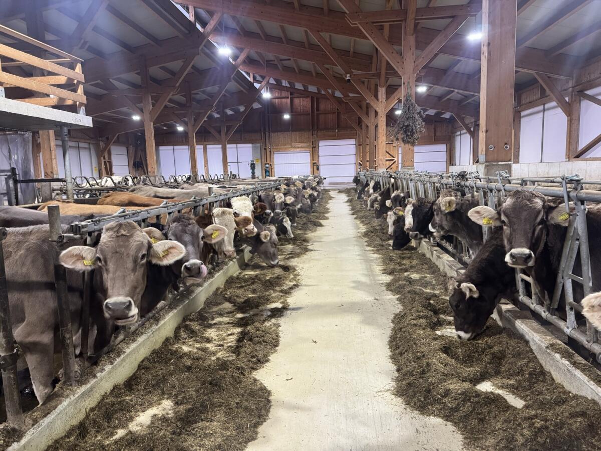 Praktikant gesucht 2