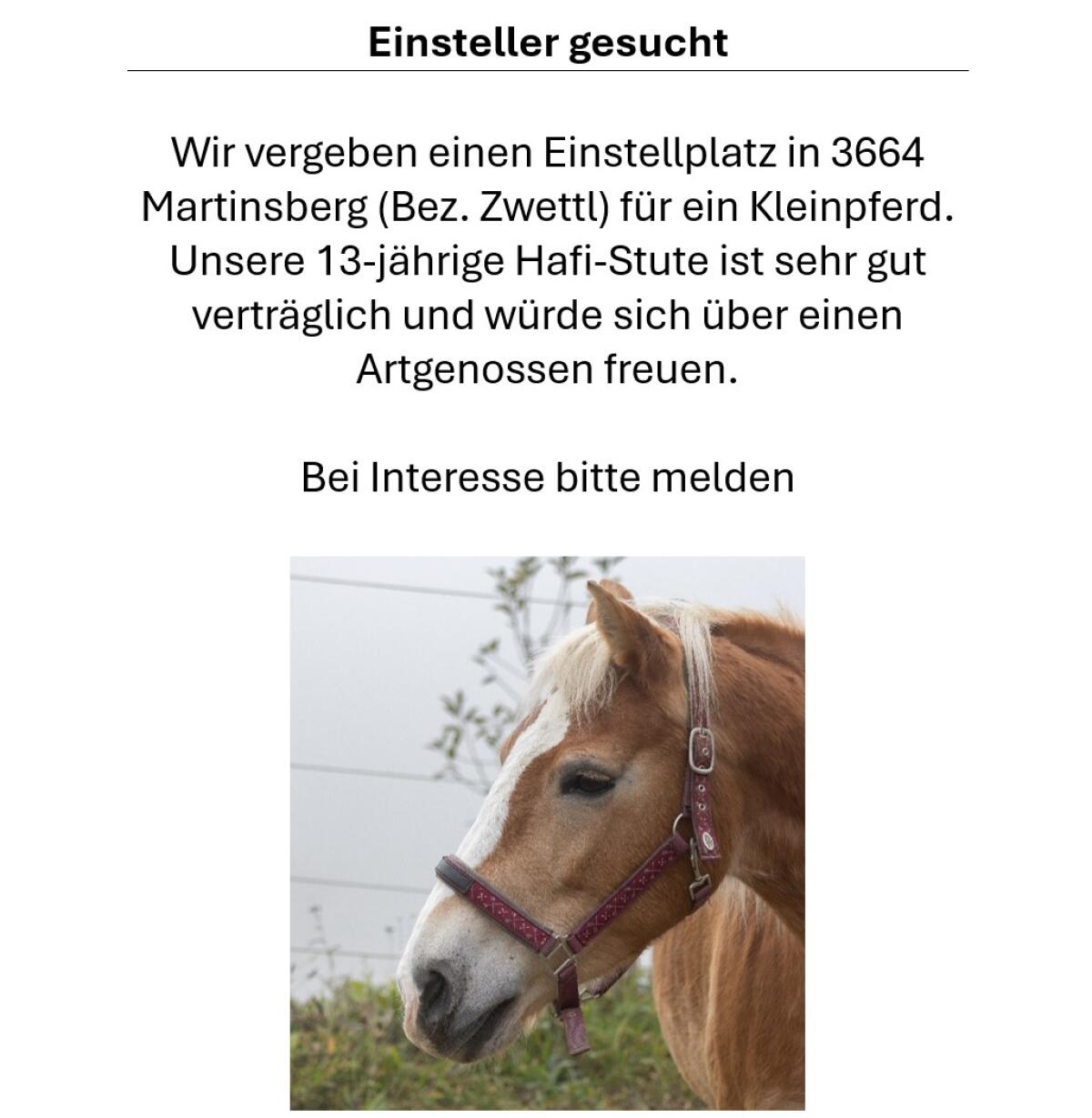 Einstellplatz im Waldviertel in idyllischer Lage 1