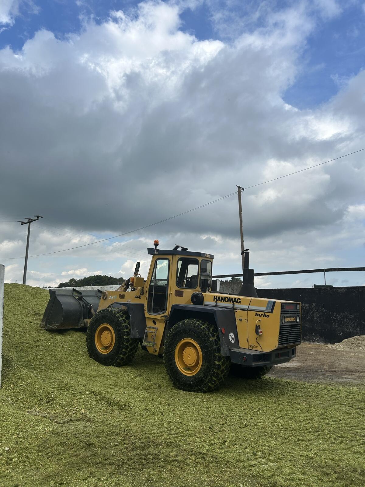 Hanomag 44D 1